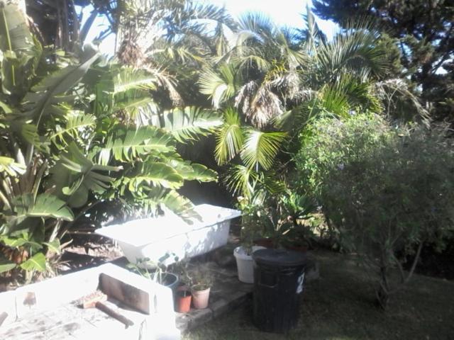 Self Catering Unit 6, Sandbaai Hermanus Bagian luar foto