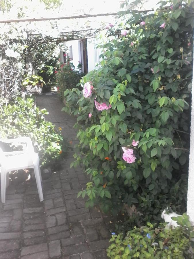 Self Catering Unit 6, Sandbaai Hermanus Bagian luar foto