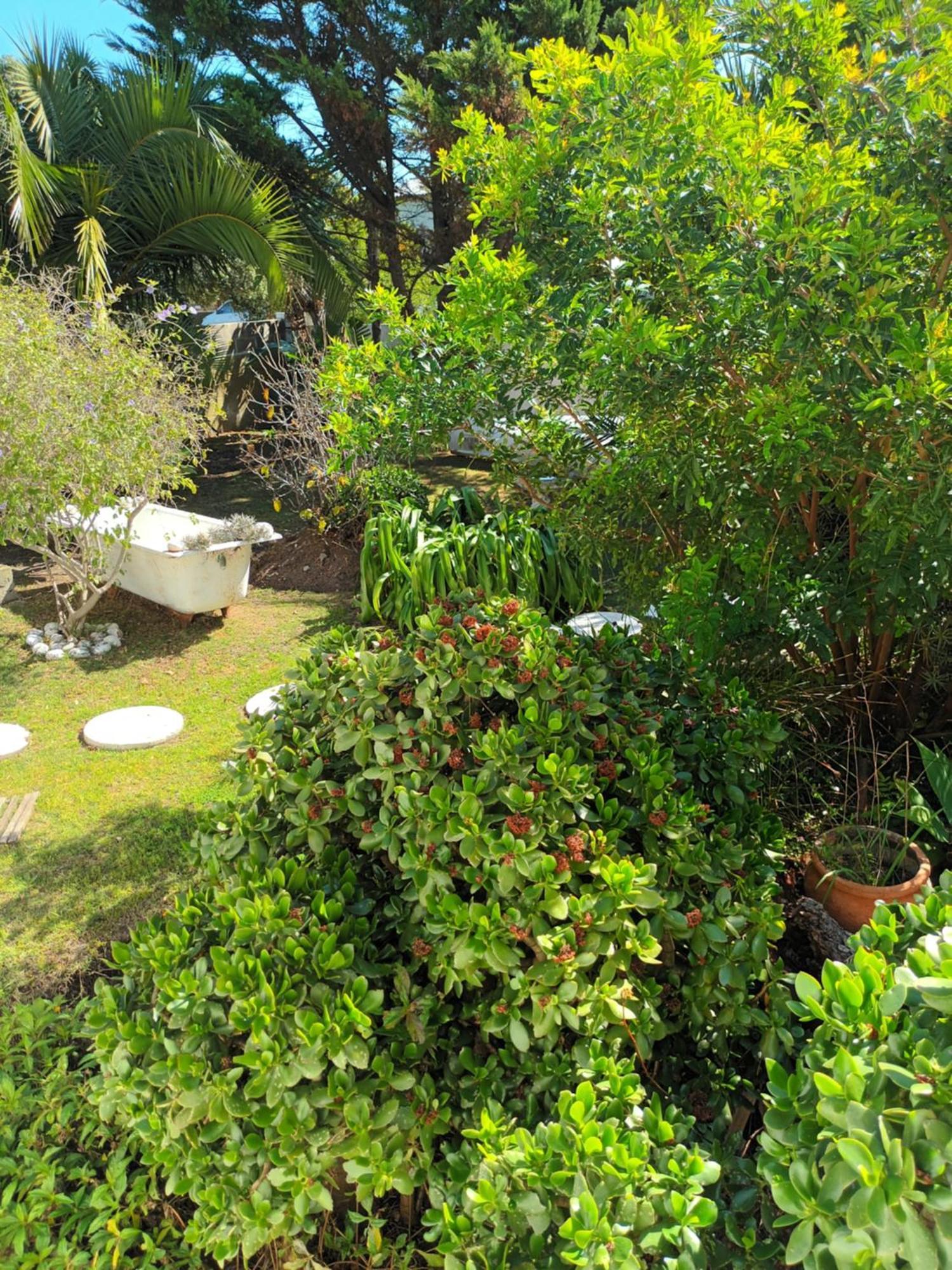 Self Catering Unit 6, Sandbaai Hermanus Ruang foto